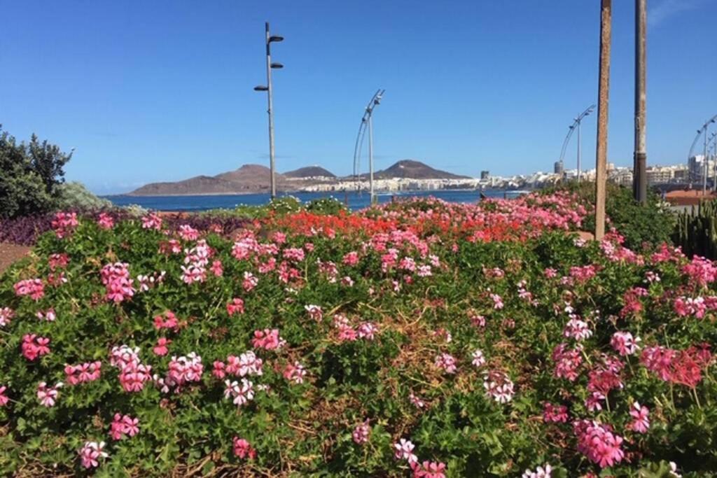 El Atico De Mateo 5A Lägenhet Las Palmas de Gran Canaria Exteriör bild